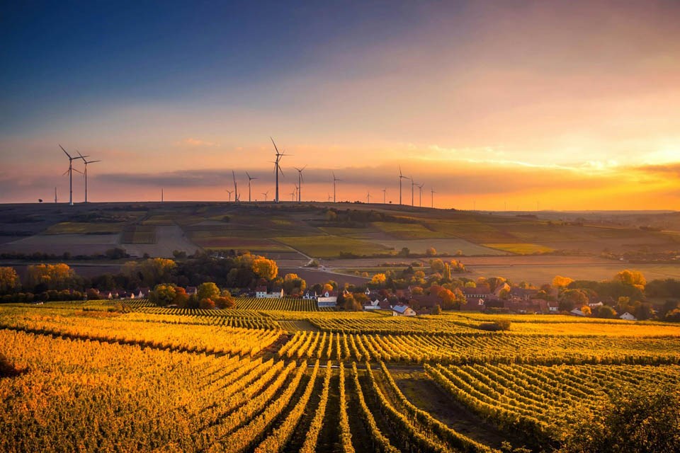 windfarm-sunset