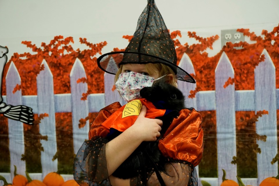 Three-year-old Peppers hopped into the Pet Parade for the first time on the shoulder of his protector – Cambrie Brandow.                              