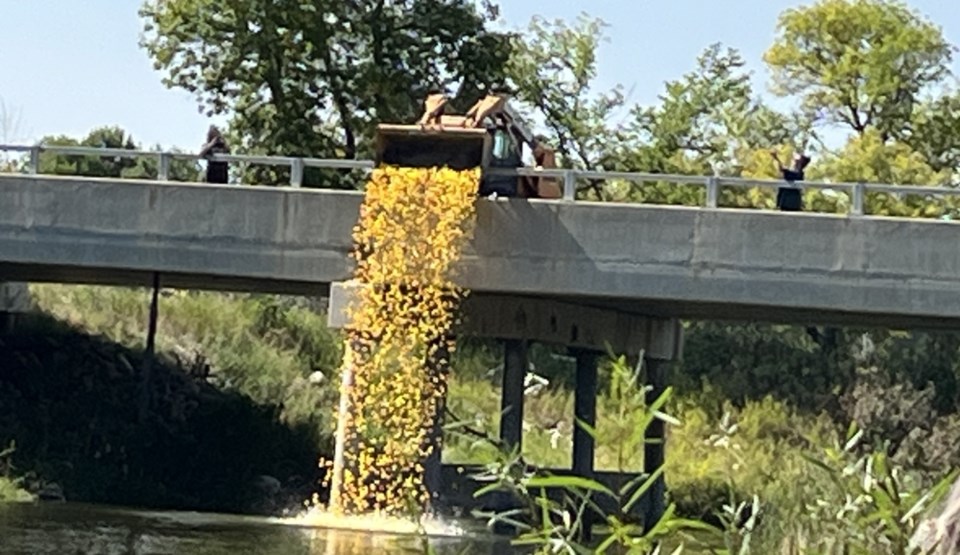 estevan-humane-society-duck-derby-2024