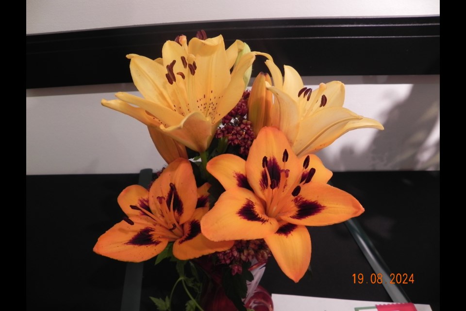 The lily is full of cultural and religious significance.