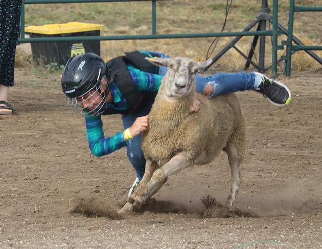 One of the most eagerly anticipated events at Canora Ag Days was mutton busting on Aug. 24. 