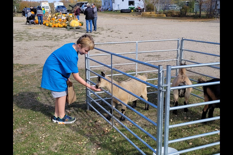 Saddle Ridge Farm Pumpkin Patch Party