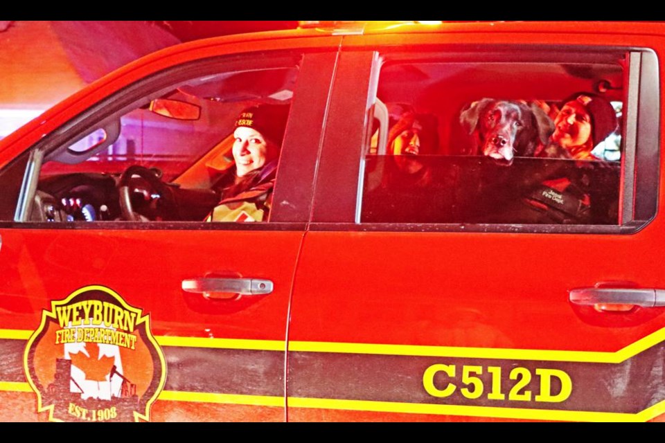 Jessi the fire dog watched the spectators waving to him during the Parade of Lights, as he rode in one of the fire trucks.