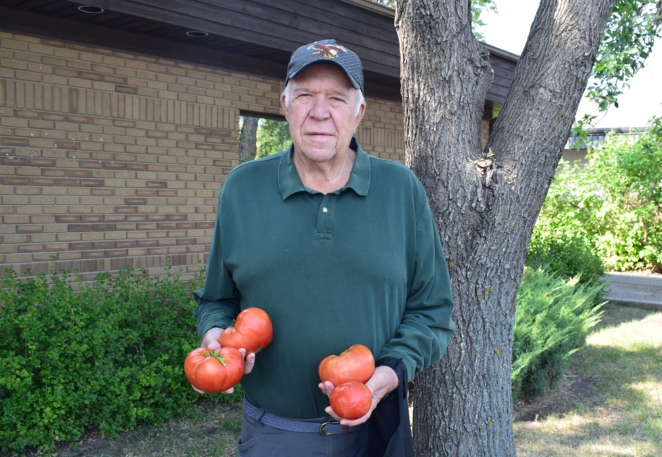 harvey-hackney-tomatoes