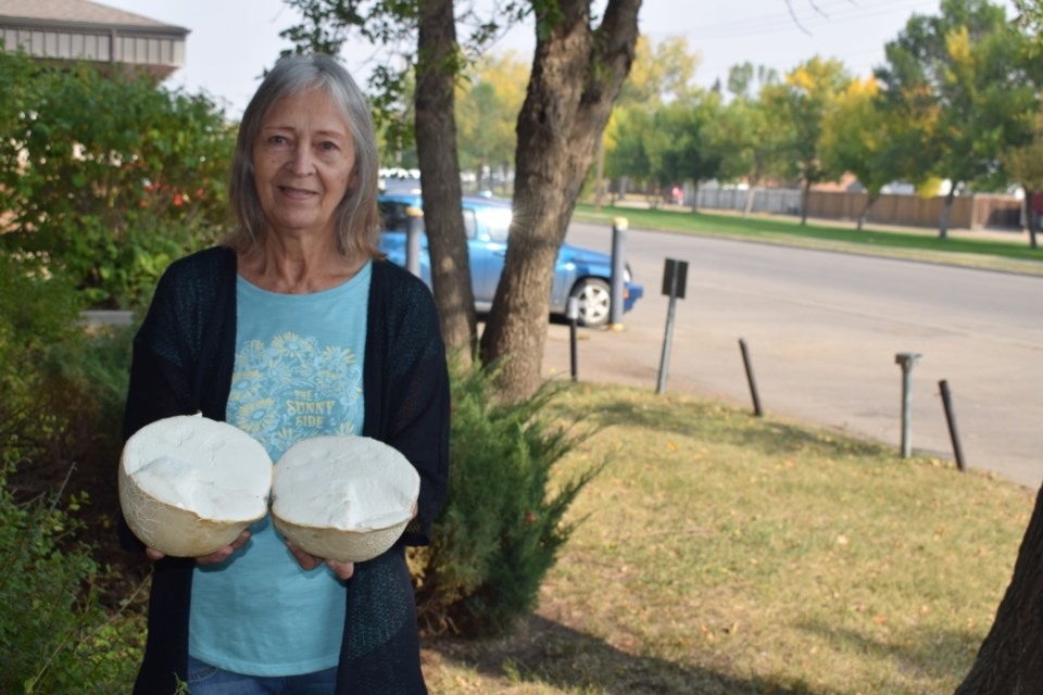 massive-mushroom-estevan-2023