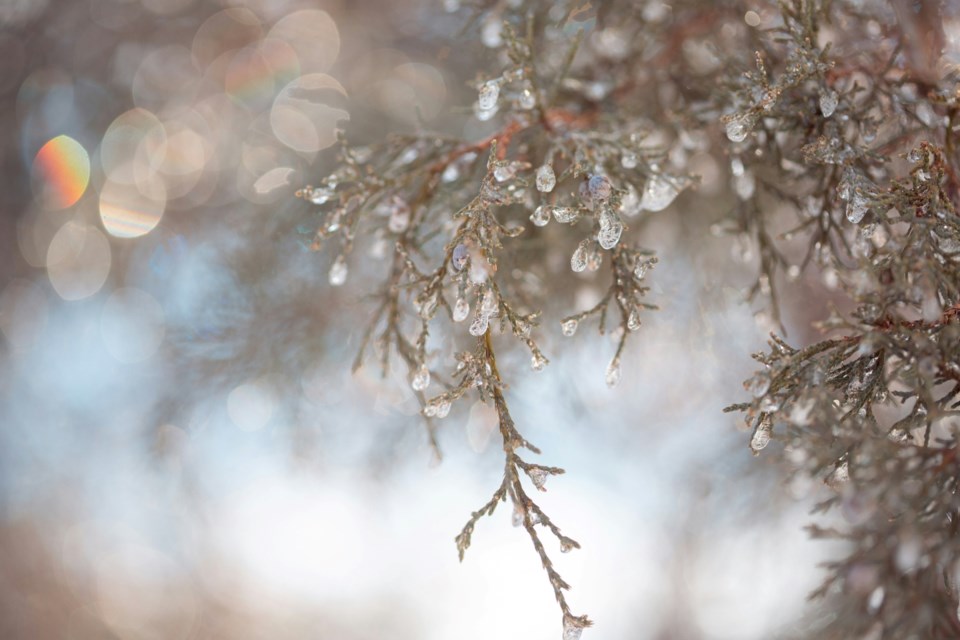 freezing-rain-unsplash