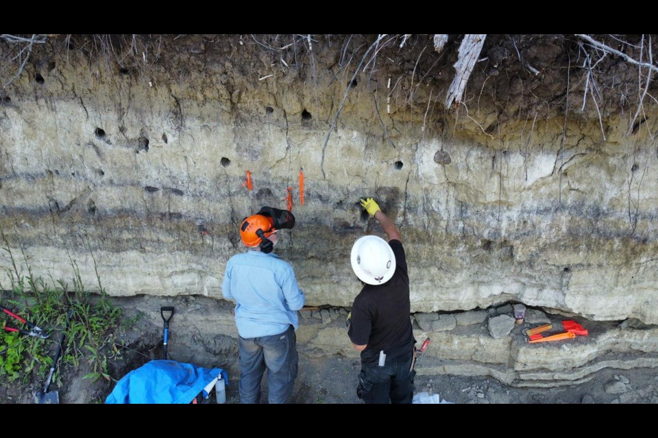 Dr. Glenn Stuart and Masters student Nicko Linares extracting samples from the profile.