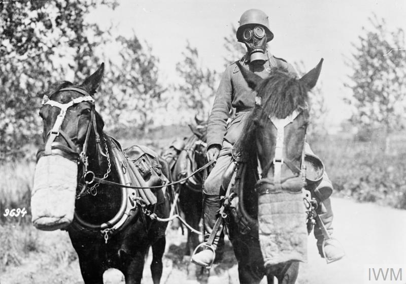 A soldier and two horses wear gas masks to protect themselves from such weapons like tear gas. 