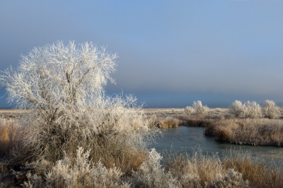 prairiechristmas21222