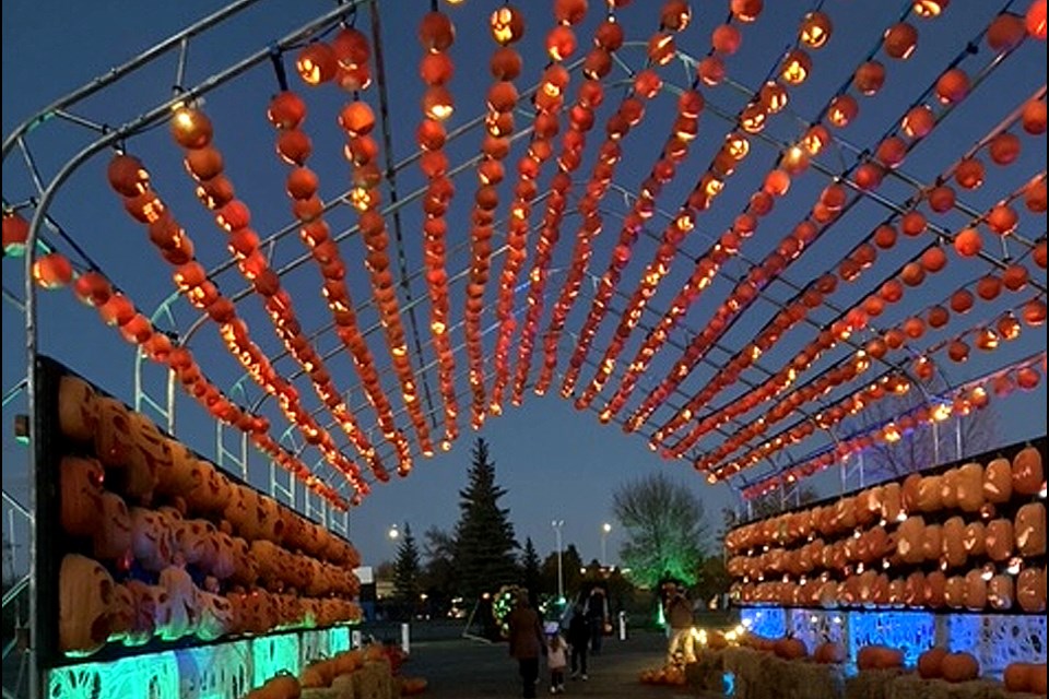 Loads of jack 'o lanterns are part of this tunnel entry into the walking pathway part of Pumpkins After Dark event, on now at Prairieland Park in Saskatoon.