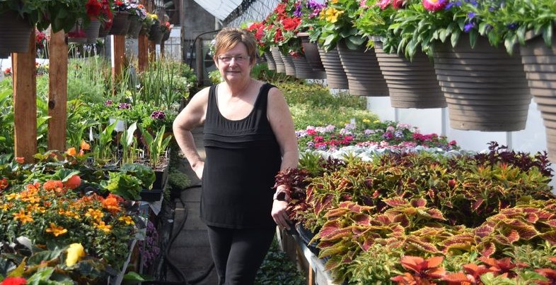 With the arrival of May and warmer temperatures, gardeners from Canora and the surrounding area have been looking for treasures at local greenhouses. Cora Tibbett, owner of Canora Greenhouse, said there have been many gardeners passing through their doors in an effort to find just the right plants for their yards.