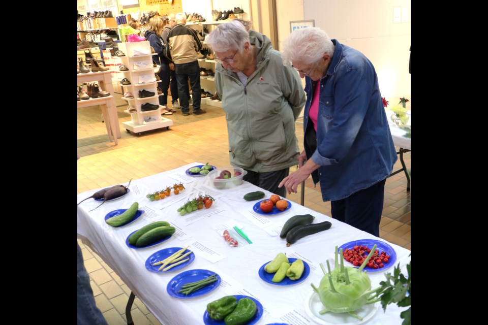 Checking out some veggie entries.