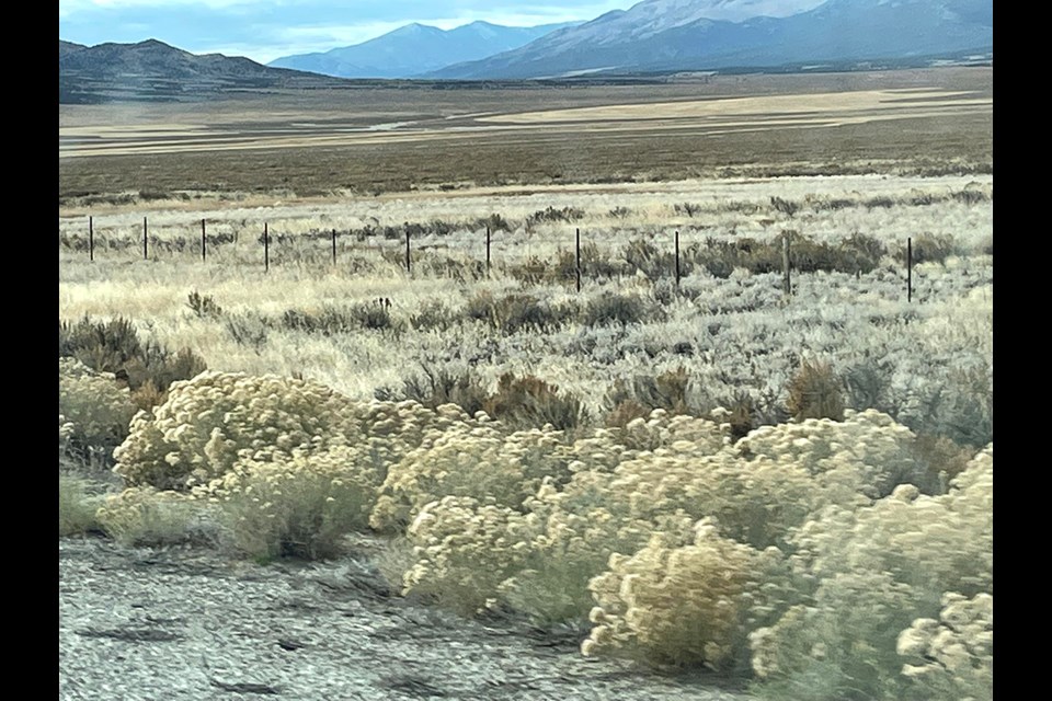 As winter continues to be held at bay the prairie landscape provides beautiful scenery for those on the move.