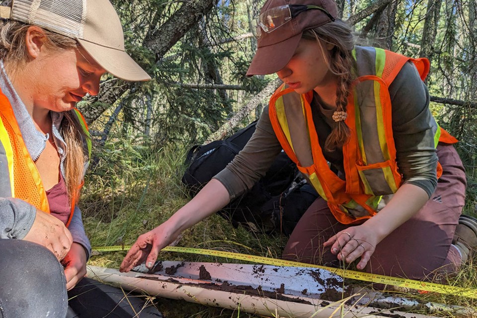 peat-sampling