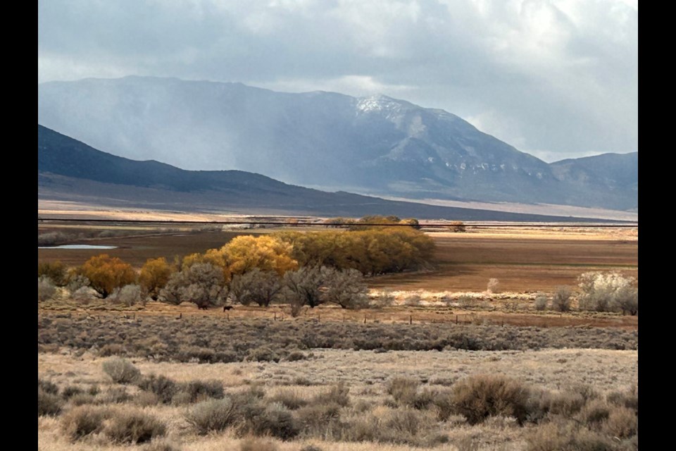 Five weeks ago, driving through Nevada en route to Yuma, Ariz., my friends and I could see a rainstorm coming towards us. The clouds swelled up, and driving in the rain was refreshing. So much diversity in the landscape across many U.S. states. 