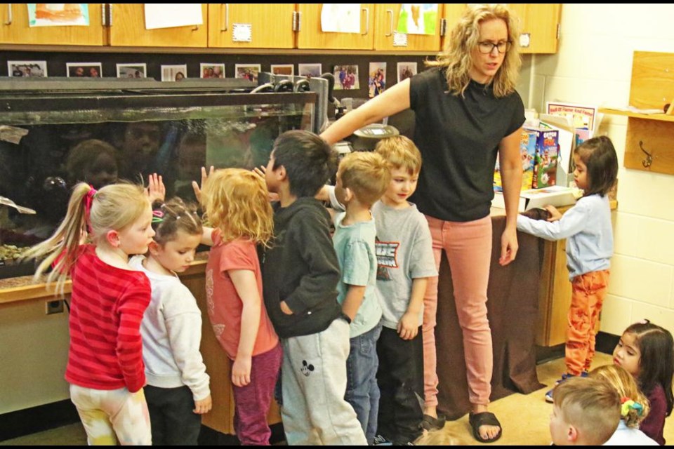 Kindergarten students came up to feel how warm the fish tank is, to hold the 100 fish eggs they were given to raise, as teacher Candice Kopec explained what was going to happen.