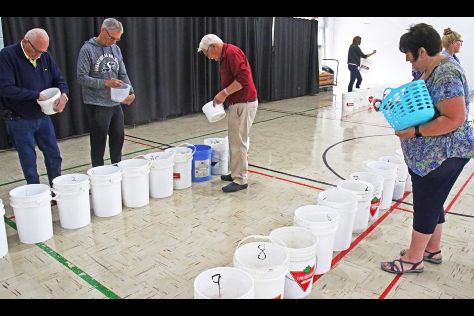 Rotary Club members sorted out over 9,000 golf balls at Knox Hall on Saturday, as they got ready for the annual golf ball drop to be held on Sept. 9.