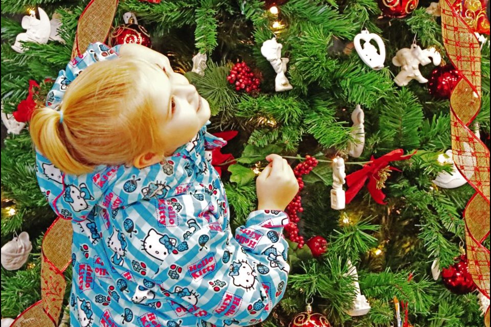 Becca Sidloski turned her face up to her grandpa, Jerome, as she looked closely at one of the trees set up for the Family Place's Festival of Trees.