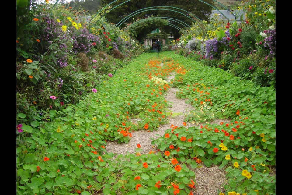 The Grand Allee in Claude Monet Garden.