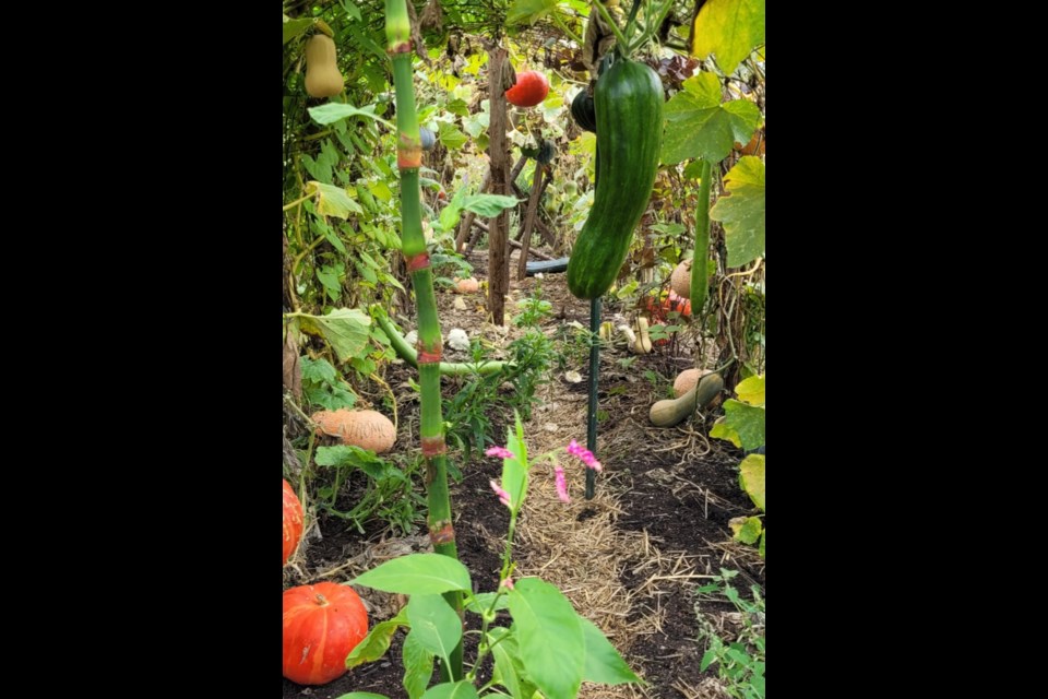 Chateau Miromesnil kitchen garden.