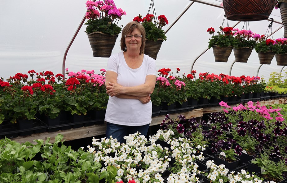 Cora Tibbett, owner of Canora Greenhouse, said traffic has been steady so far this spring, and she expects to get even busier as temperatures warm and gardeners look for that special flower or other plant that’s just right for their yards.