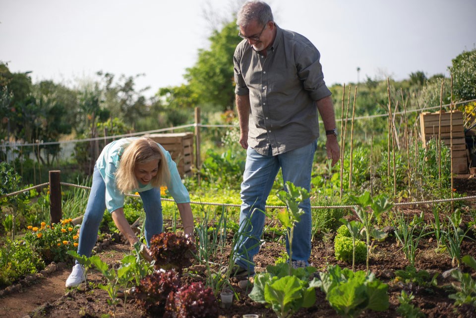 community-garden-this-one