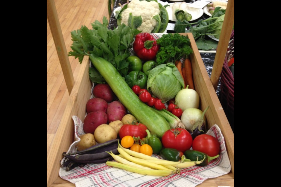 Vegetable garden harvest display at Saskatchewan Horticultural Association provincial show in August.