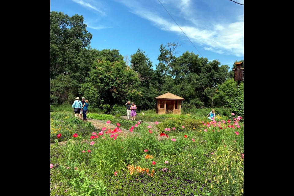 Lilies in bloom and many other growing attractions can be found at Honeywood Heritabe Nursery.