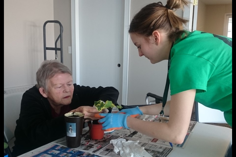 Horticulture therapy techniques help participants to learn new skills or regain abilities that have been lost due to injury or illness.