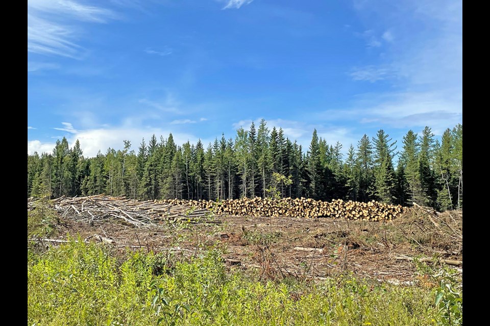 There are many clearings in the Chitek Lake forest area going north along the large grid to Meadow Lake and Big River. Logs are neatly piled in a row waiting for the timber trucks to transport them out. Apparently, this project started this spring and is making great progress 