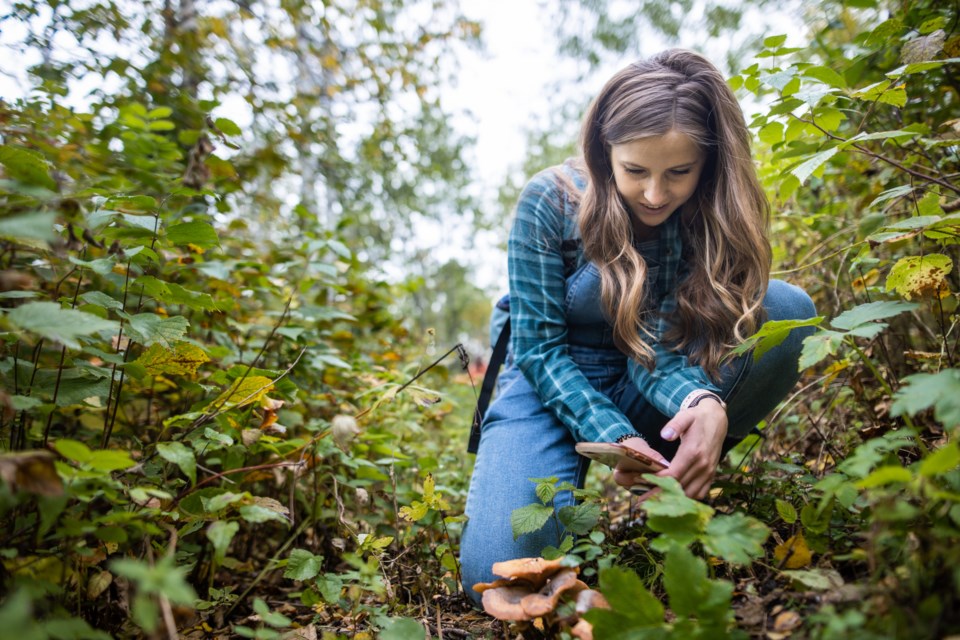 NCC bioblitz