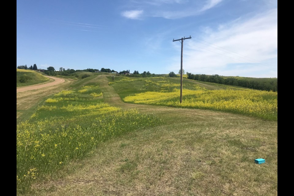 Hole 4 with walking trails around it. 