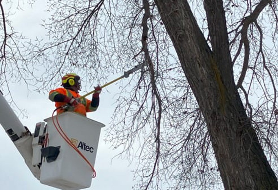 pruner-at-work-4406