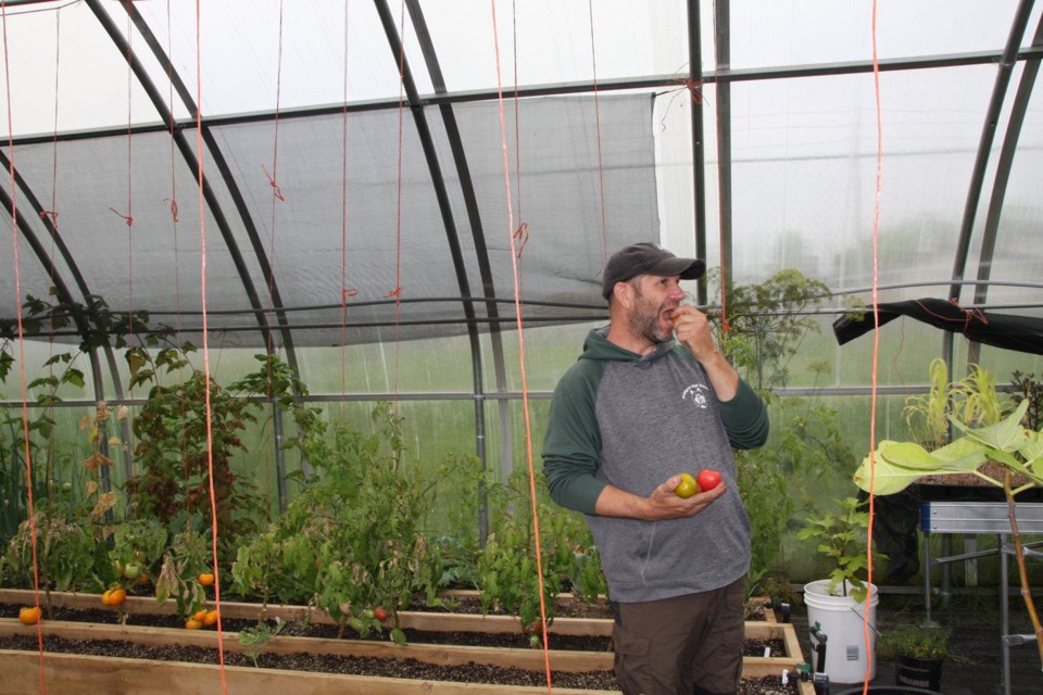 Greenhouse curator