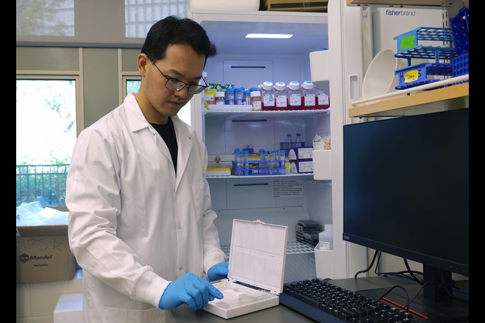 Dr. Jeff Dong (PhD), researcher at USask's College of Medicine, looks at slides in his lab in the Health Sciences building.