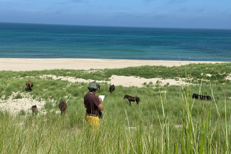 Indigenous USask student Olivia Andres, centre, writes down data about wild horses on Sable Island during her summer research experience. 