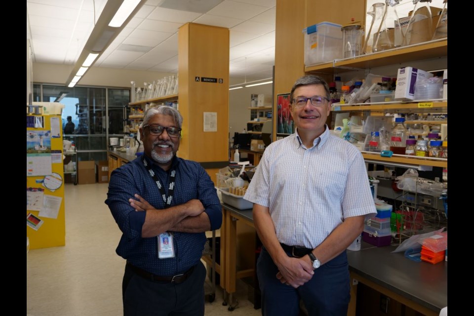 Dr. Franco Vizeacoumar and Dr. Oleg Dmitriev in the USask Health Sciences Building.