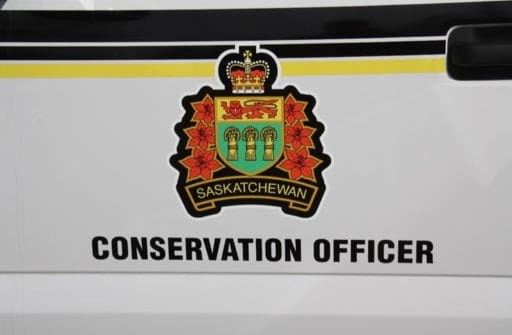 conservation-officer-shield