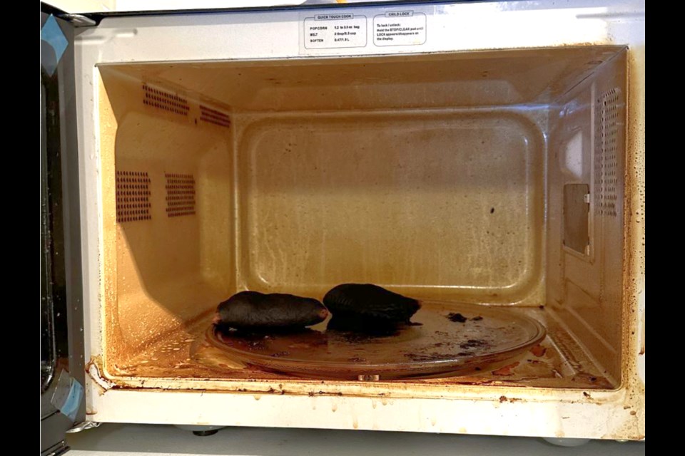 Severely burnt food in the microwave was the cause.