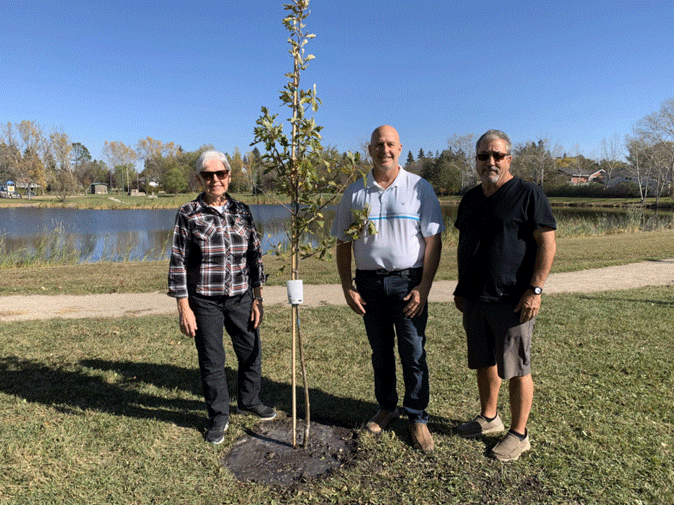 memorial-tree-planting-stoughton