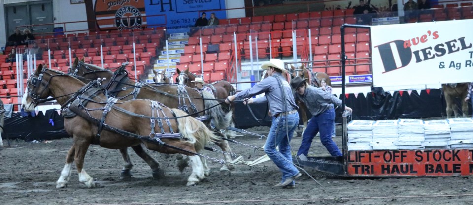 horse_pulls_hs-2023_2