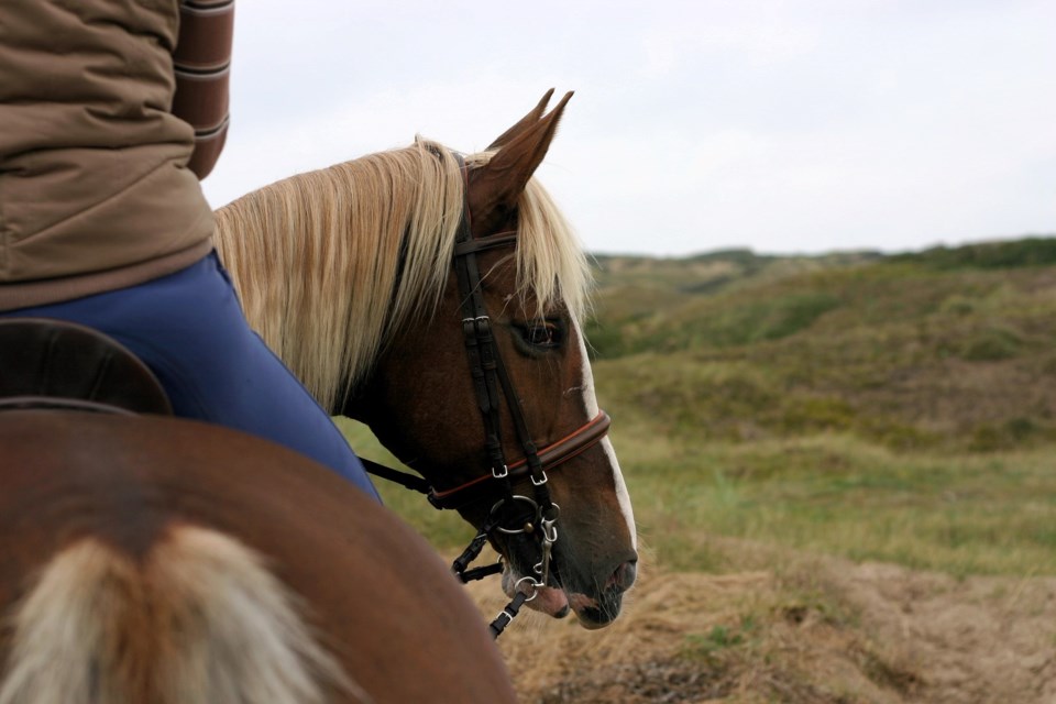 horseriding0823