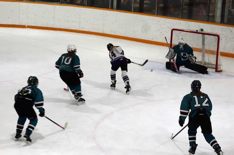 Elli Vogel of Theodore raced in and beat the Balcarres goalie on this shorthanded breakaway to open the scoring in the first period.