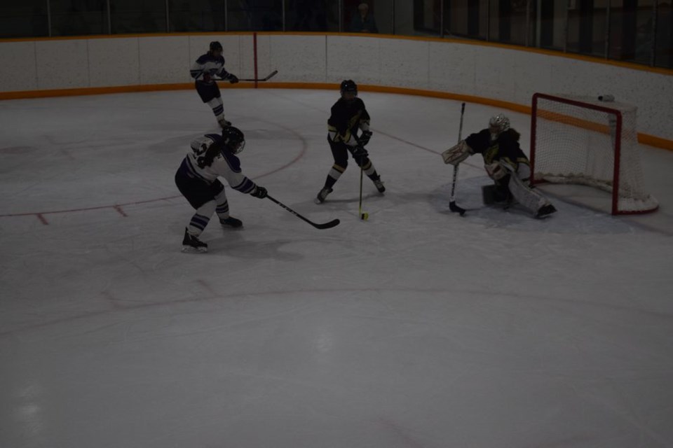 Camryn Nelson of Preeceville had the hot stick for the Prairie Ice on February 19 in Canora, scoring four goals in an 11 to 1 win over the visitors from Weyburn.

