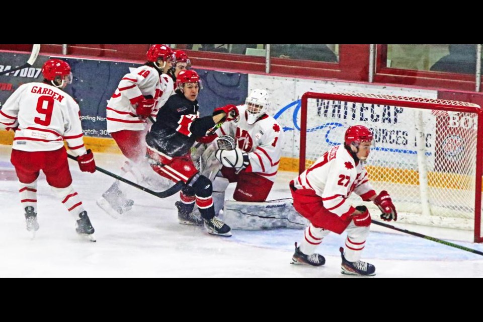 Red Wings player Josh Sale took the play right to the net, but the puck was deflected away, during Saturday's game versus Notre Dame.