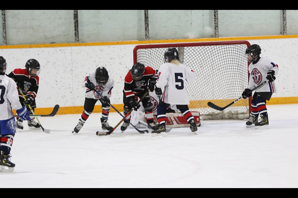 Members of the U9 Canora Cobras Black team battled for the puck in front of the net during Hockey Day in Saskatchewan action on Jan. 18  The Cobras skated away with a 9-3 win.