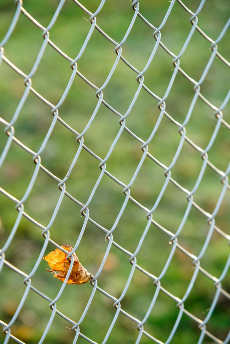 chainlink-fence