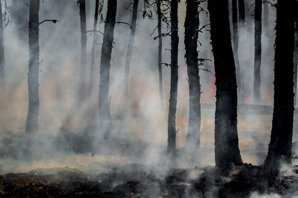 As of 8 a.m. on July 17, there were 95 wildfires burning in the province.