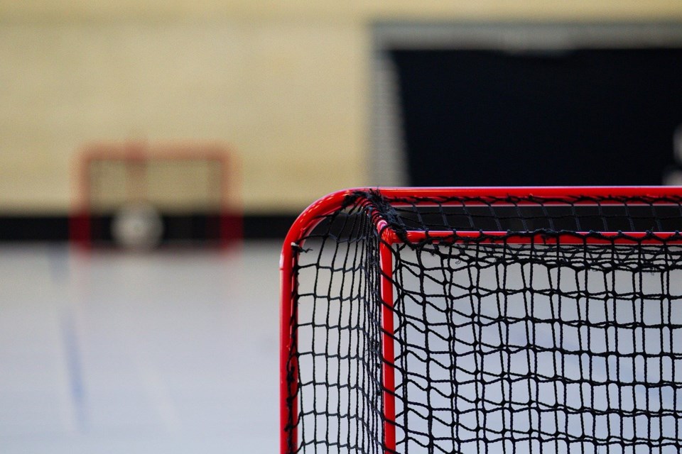 hockey-net-pixabay