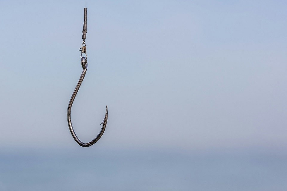 fishhook_unsplash